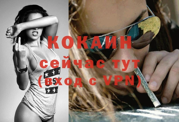 мдпв Киреевск