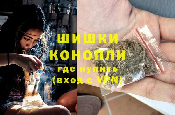 PSILOCYBIN Кинешма