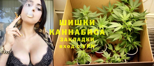 мдпв Киреевск