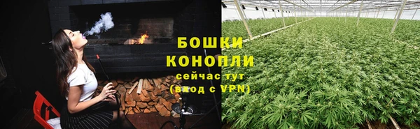 МДПВ Сосновый Бор