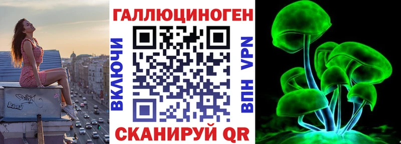 Купить где  Венёв  Галлюциногенные грибы Cubensis 